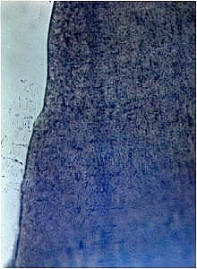 Gefügebild der Randzone eines spritzgegossenen Gehäuseteils aus Acryl/Butadien/Styrol